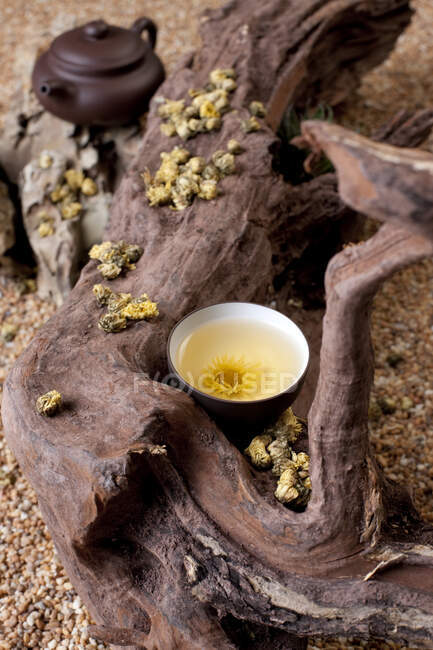 Crisantemo Té en taza y olla en árbol - foto de stock