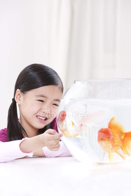 Little Chinese girl looking at goldfish — Stock Photo