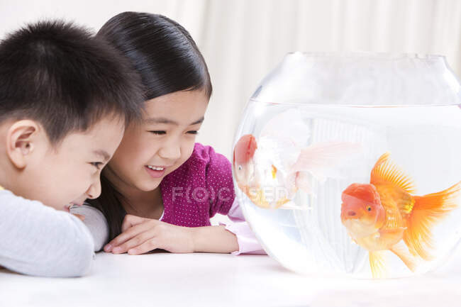 Enfants chinois mignons avec des poissons rouges — Photo de stock