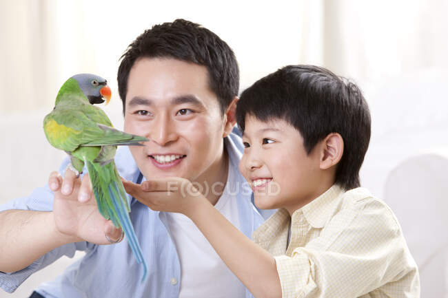 Padre e figlio cinese che giocano con un pappagallo domestico — Foto stock
