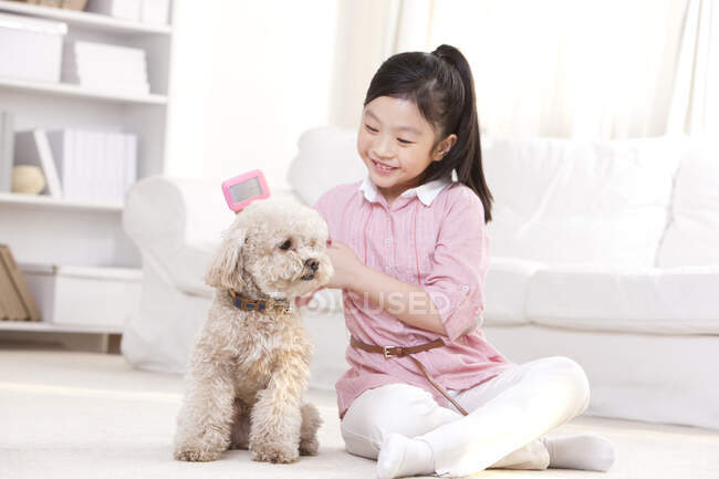 Little Chinese girl playing with a pet toy poodle — Stock Photo