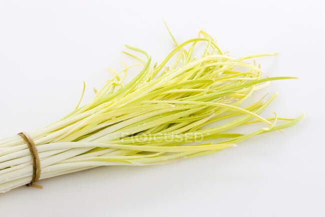 Paquet de feuilles d'ail blanchi isolé sur fond blanc — Photo de stock