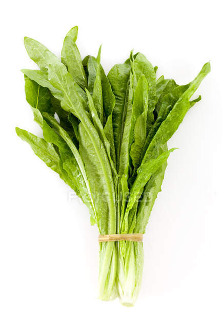 Bundle of fresh celery on white background — Stock Photo