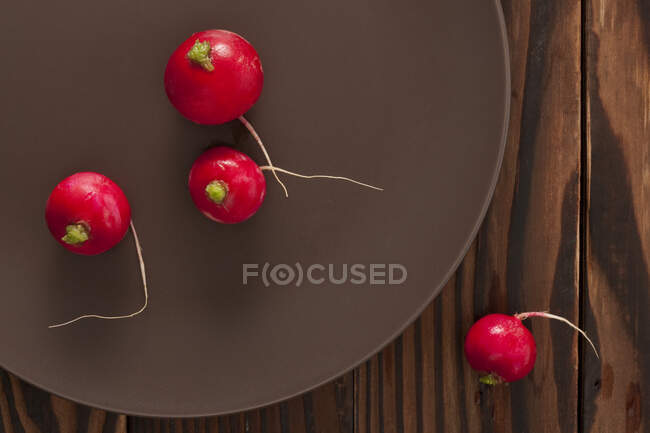 Fresh radish on plate, top view — Stock Photo