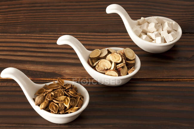 Chinese medial herbs. Forsythia, liquorice root and poria cocos in spoons — Stock Photo