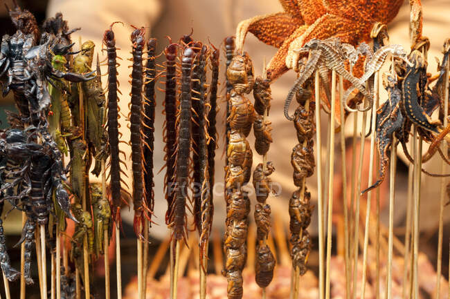 Vari insetti cotti sugli spiedini, cibo cinese — Foto stock