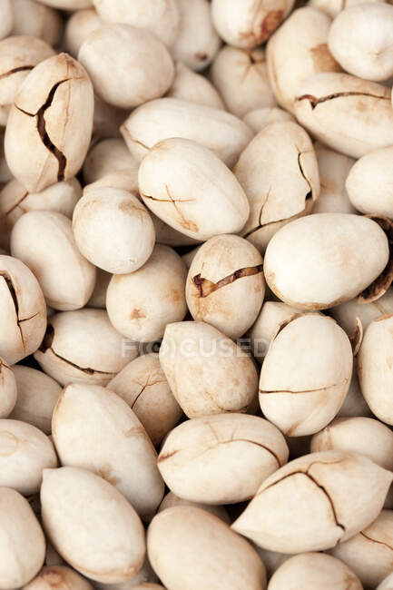 Pile de noix de pécan pelées, gros plan — Photo de stock