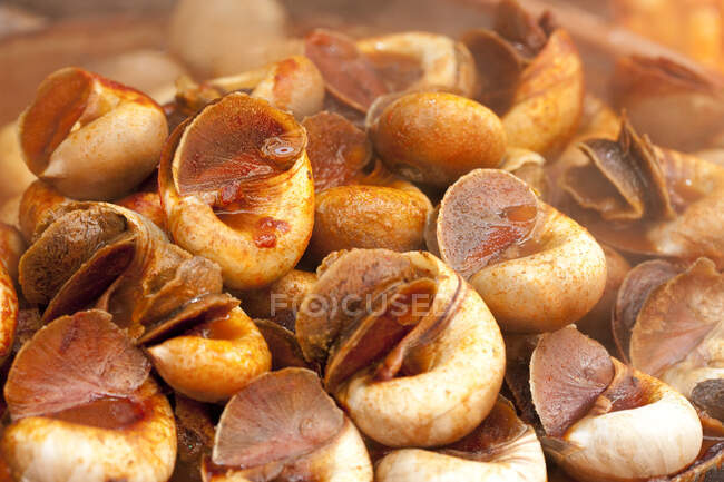 Snack tradicional chino, escargots cocidos de cerca - foto de stock