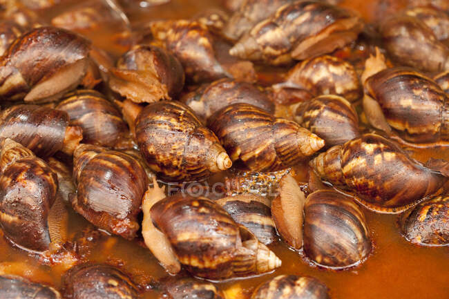 Snack traditionnel chinois, escargots cuits en gros plan — Photo de stock