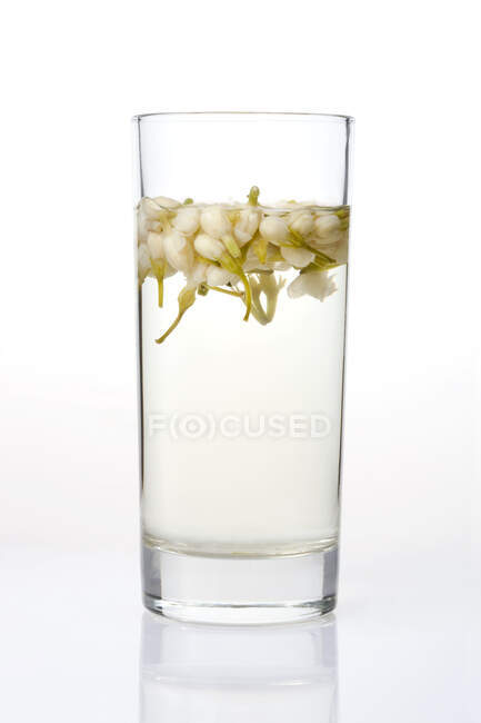 Vidro de chá de jasmim isolado no fundo branco — Fotografia de Stock