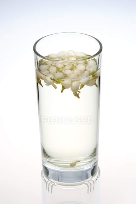 Glass of Chinese herbal tea, jasmine tea isolated on white background — Stock Photo