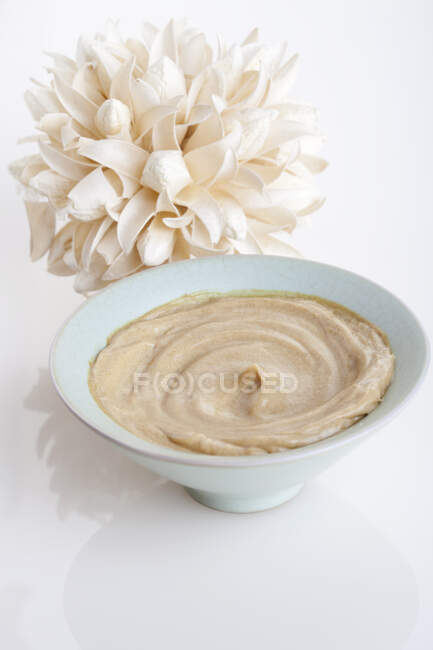 Organic herbal cream mask with artificial flower — Stock Photo