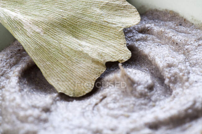 Organic herbal cream mask with ginkgo leaf — Stock Photo