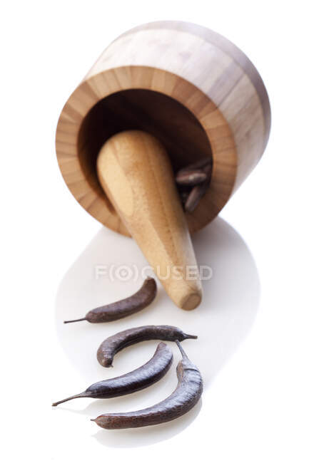 Chinese medicinal herb Chinese honey locust and mortar-grinder — Stock Photo