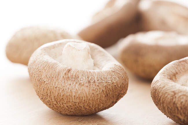 Shiitake Cogumelos em tábua de madeira, close up shot — Fotografia de Stock