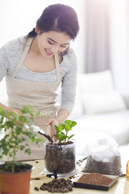 Jeune femme chinoise plantant une plante en pot à la maison — Photo de stock