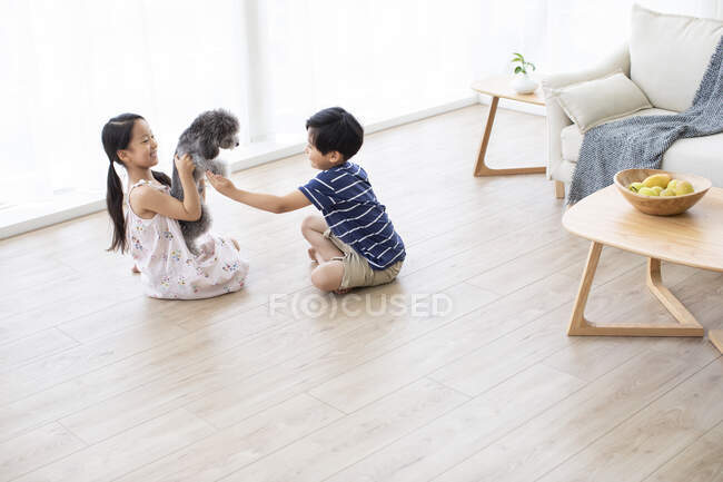 Felice fratello cinese giocare con il cane in soggiorno — Foto stock