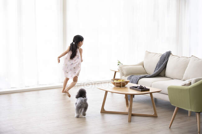 Маленька китайка грається з собакою у вітальні. — стокове фото
