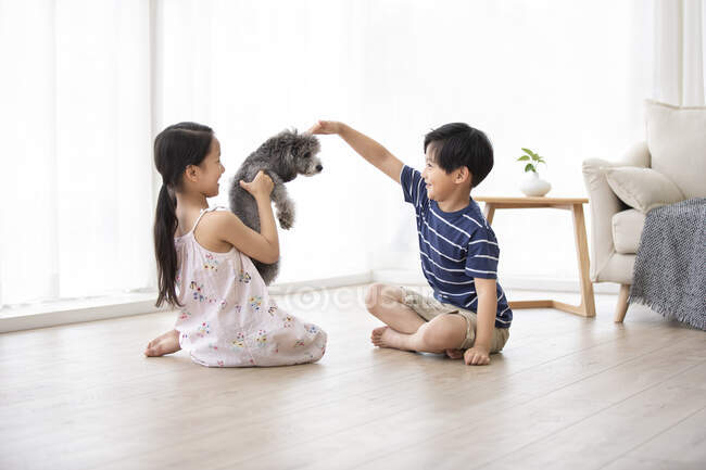 Щасливий китайський брат або сестра бавиться з собакою у вітальні. — стокове фото