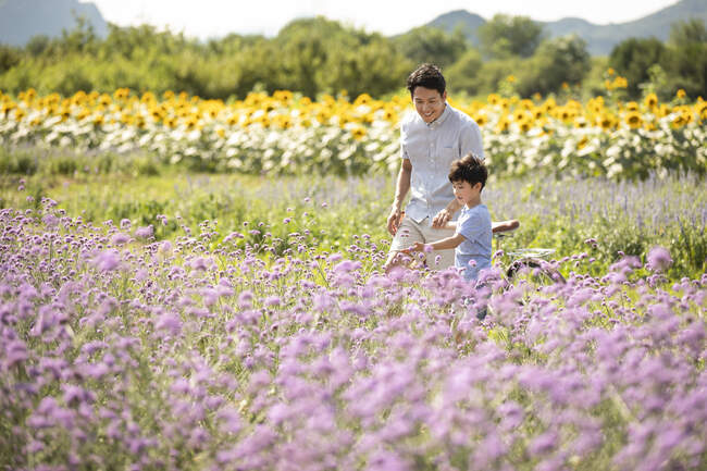Padre e hijo chinos en el campo de flores - foto de stock