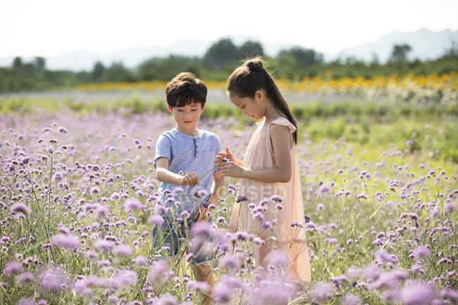 Due bambini cinesi che raccolgono fiori in campo — Foto stock