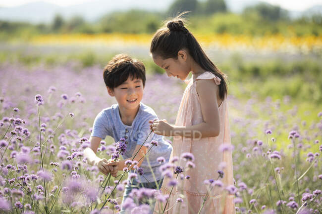 Dos niños chinos recogiendo flores en el campo - foto de stock