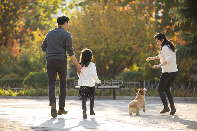 Счастливая молодая китайская семья и домашняя собака в парке — стоковое фото