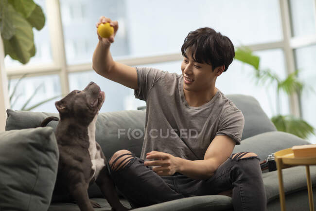 Jovem chinês homem brincando com cão no sofá usando bola — Fotografia de Stock
