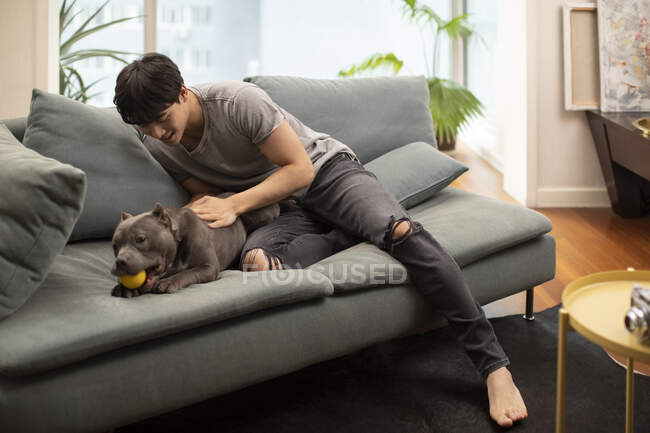 Joven chino hombre acariciando perro en sofá - foto de stock
