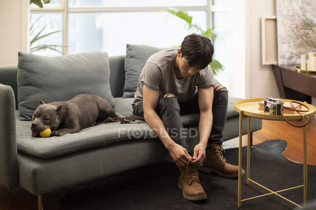 Собака лежит на диване с мячом во рту и молодой китаец завязывает шнурки на обуви — стоковое фото