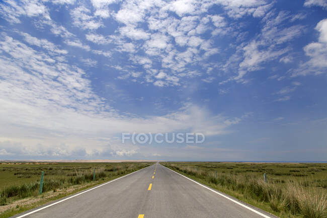 Вид на дорогу і зелені поля під блакитним хмарним небом — стокове фото