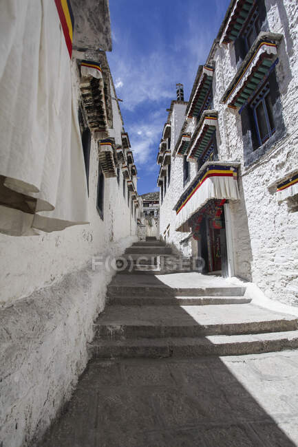 Комплексные здания монастыря Дрепунг в Тибете, Китай — стоковое фото