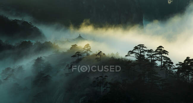 Alberi su rocce con nuvole basse, Huangshan, Cina — Foto stock