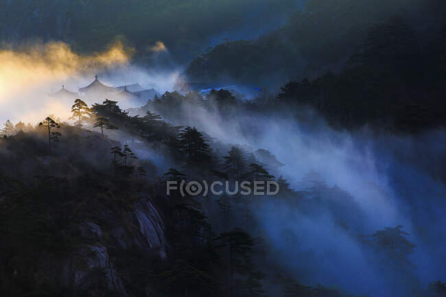 Alberi su rocce con nuvole basse, Huangshan, Cina — Foto stock