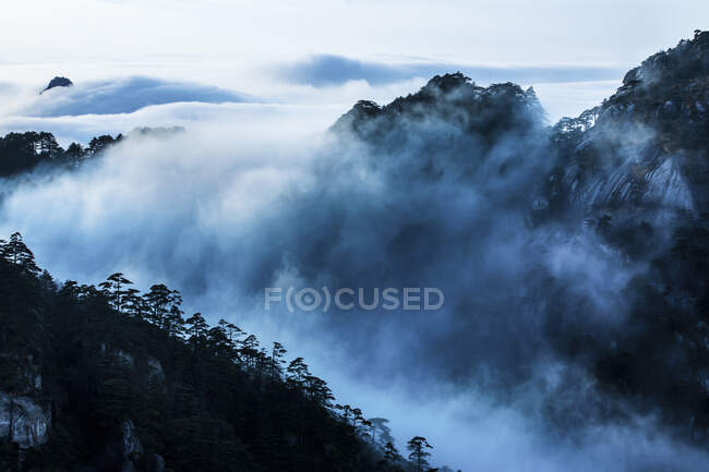 Árvores em rochas com nuvens baixas, Huangshan, China — Fotografia de Stock