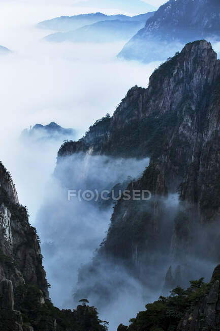 Rocks with trees and low clouds, Huangshan, China — Stock Photo