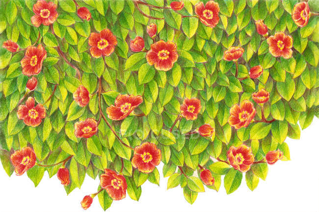 Blühende rote Blüten mit grünen Blättern — Stockfoto