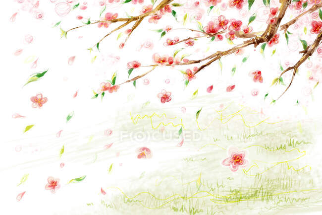 Pfirsichblüten mit fallenden Blütenblättern über grünem Rasen — Stockfoto