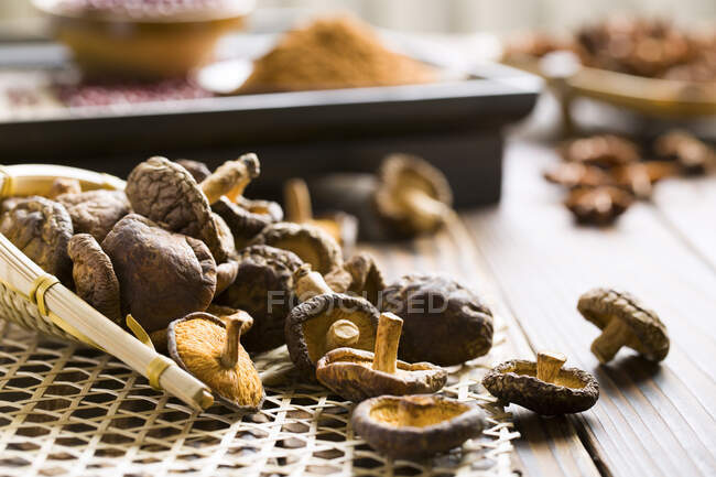 Сушеные грибы шиитаке, крупным планом — стоковое фото