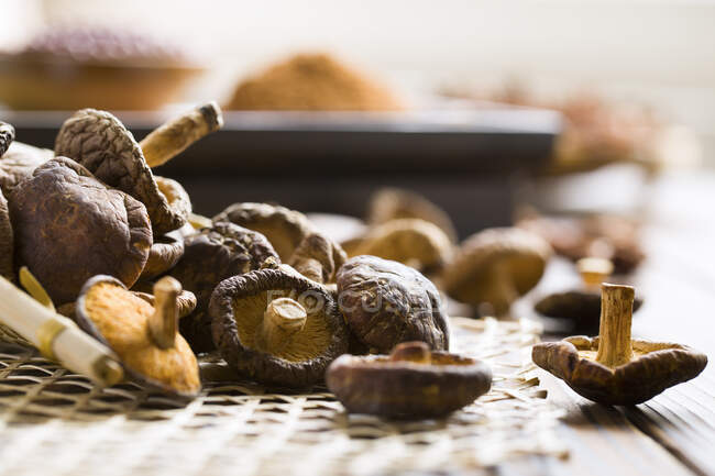 Getrocknete Shiitake-Pilze, Nahaufnahme — Stockfoto