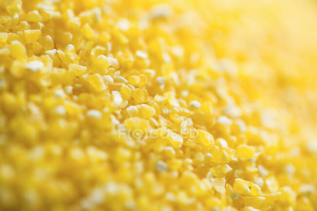 Triturado textura de maíz seco, tiro de cerca - foto de stock