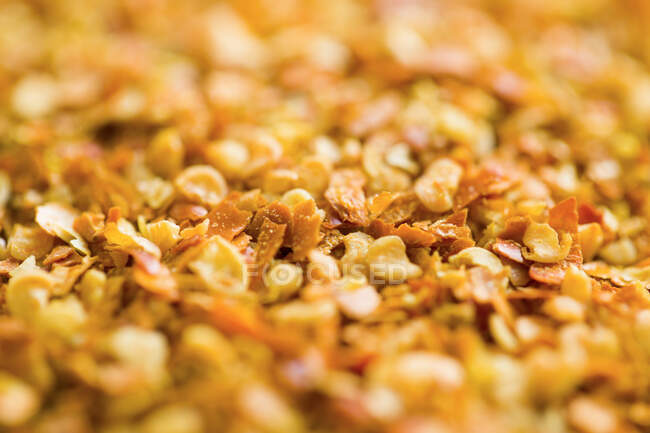 Peperoncino grattugiato con semi, primo piano colpo — Foto stock