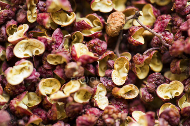 Dried Chinese red pepper berries — Stock Photo