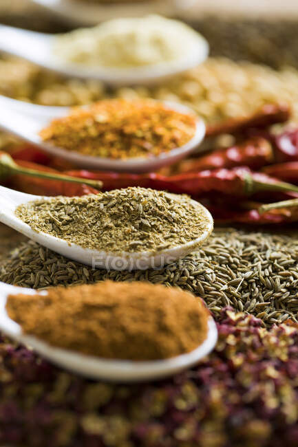 Various spices in bowls and dried peppers, close up shot — Stock Photo