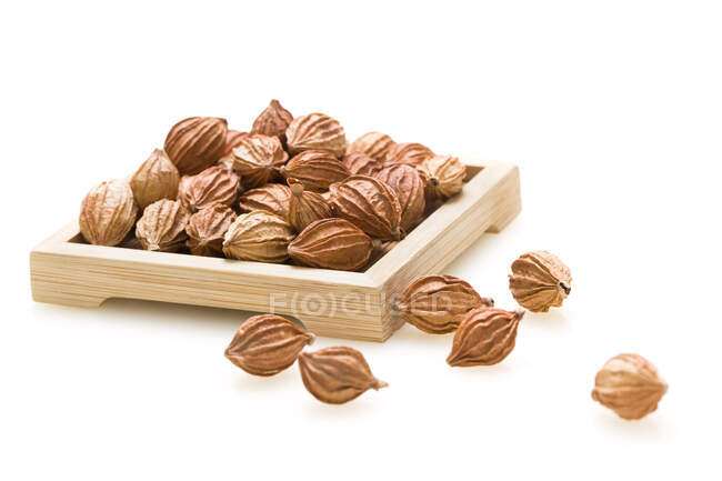 Traditional Chinese medicine, dried amomum villosum buds on wooden tray — Stock Photo