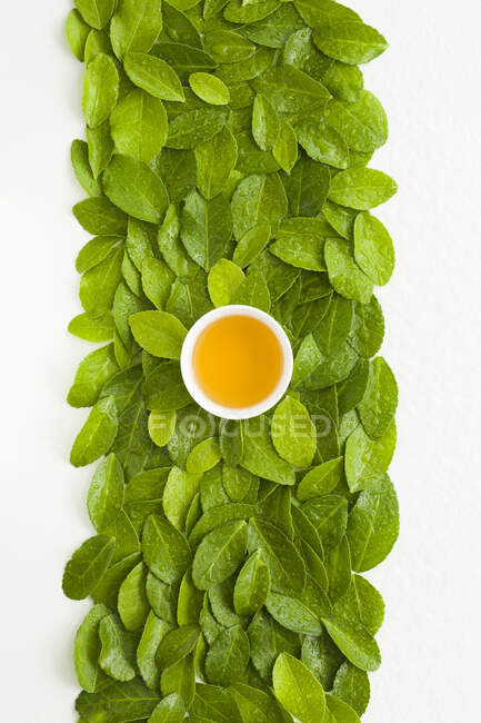 Vista superior de la taza de té en hojas verdes - foto de stock