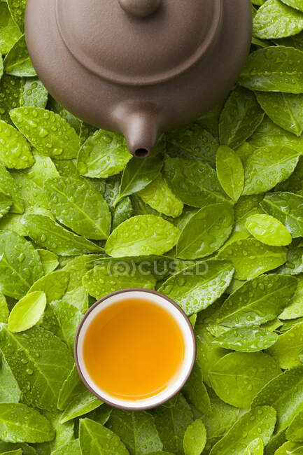 Tetera y taza de té sobre hojas verdes - foto de stock