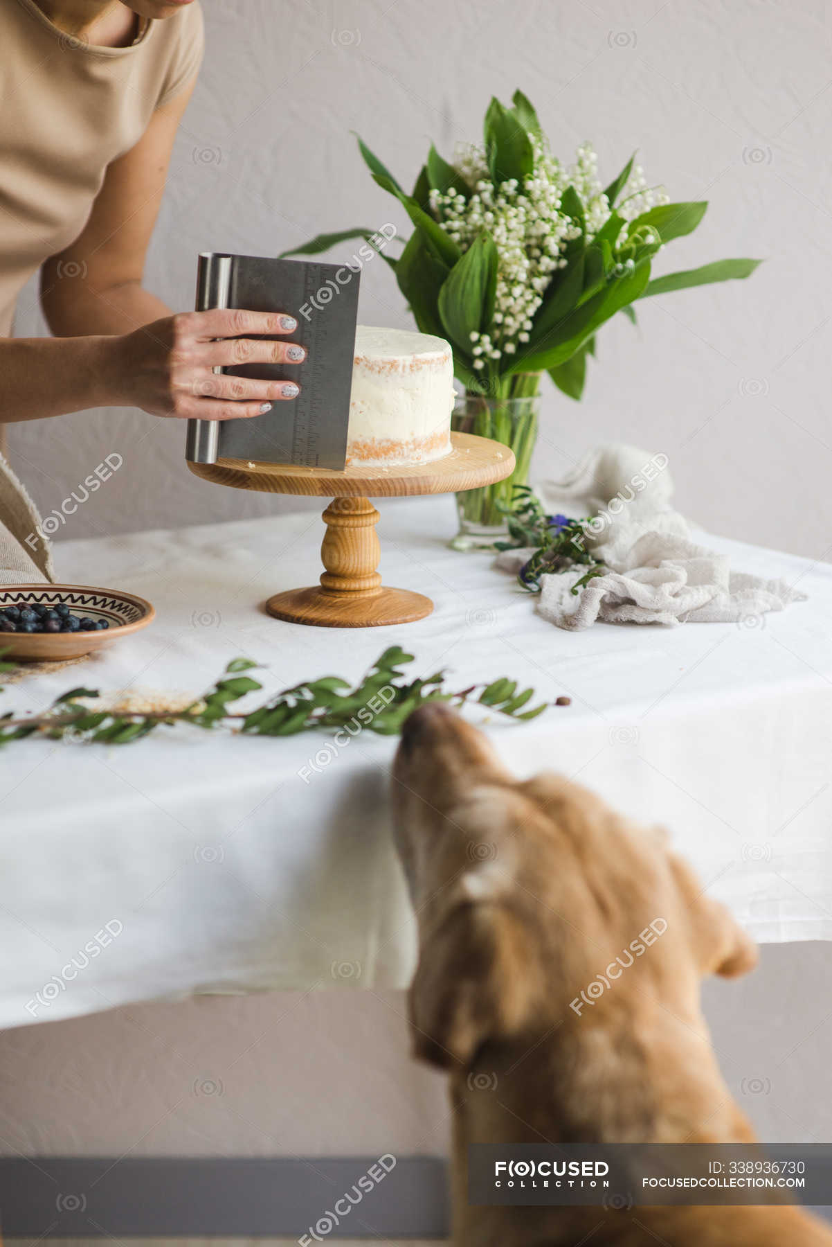 raw dog cake