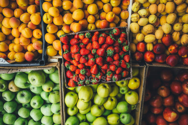 Frutas y bayas están en cajas de cartón - foto de stock