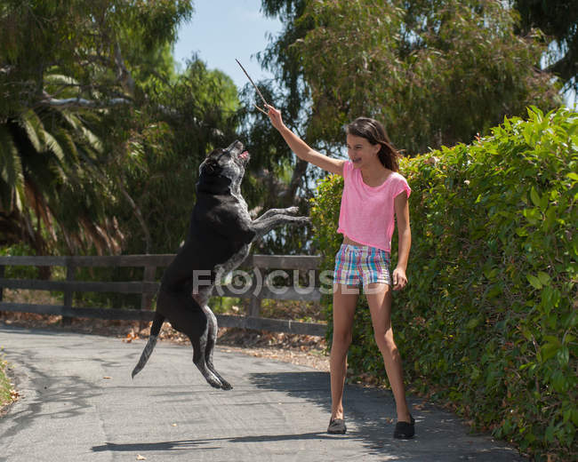 Menina brincando com seu cão — Fotografia de Stock